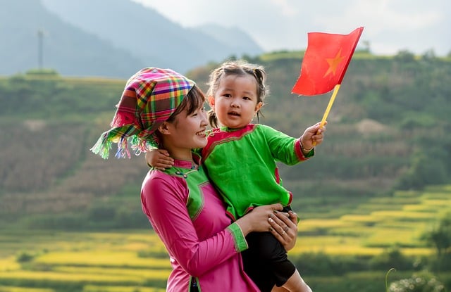 Free Viet Nam Flag photo and picture