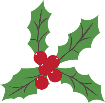 Free Holly Berry vector and picture