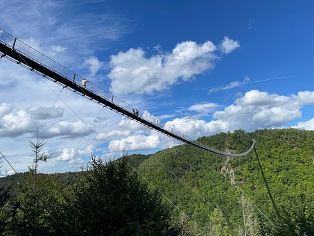 Paisaje, Árboles, Camino, Bosque
