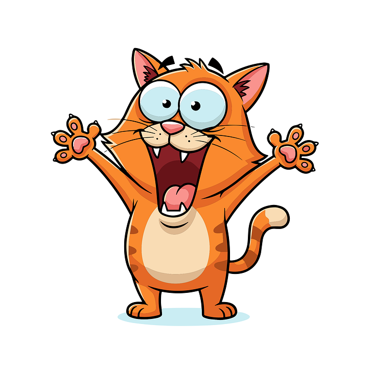 Loading cat