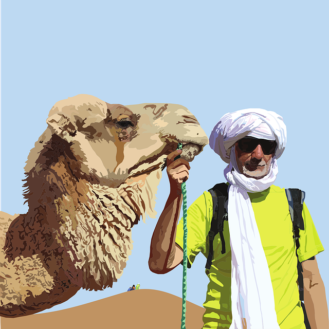 Free camel guide sahara vector