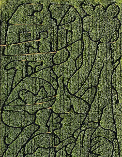 Kukuřice, Zemědělství, Labyrint
