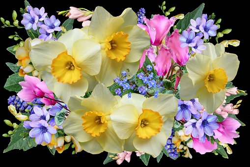 Blomster, Forår, Arrangement, Buket