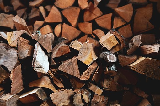 Free By Woodshed photo and picture