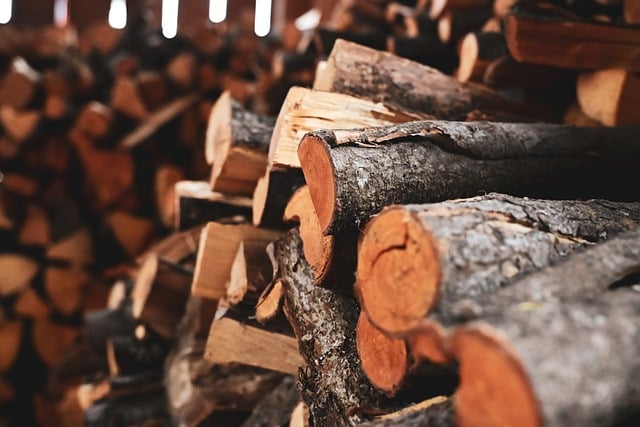 by, woodshed, fuel, timber, wood burning, three, tree trunks, material, sawmill, stacked, autumn, winter, cozy, warm, heat, heat source, burn, fireplace, oven