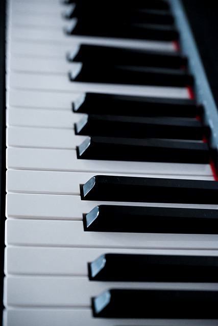 Free Piano Tangent photo and picture