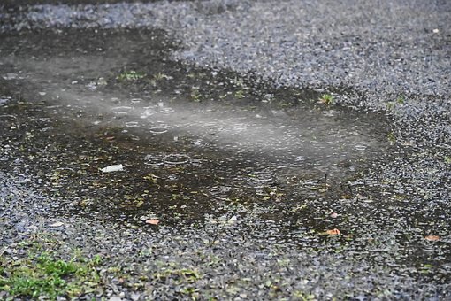 Free Rain Water photo and picture