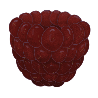 Free Raspberry Berry photo and picture