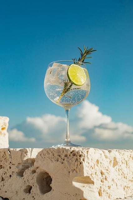 Băutură, Gin, Tonic, Lămâie Verde