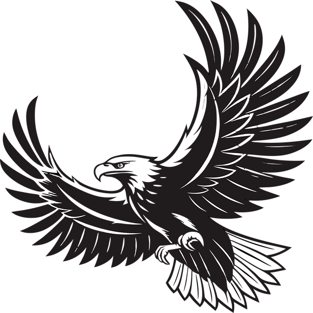 Free eagle bird predator vector