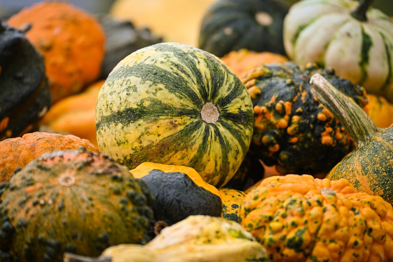 Pumpkin - free online jigsaw puzzle photo