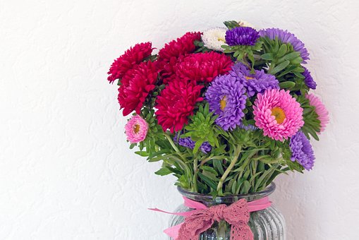 Blomst, Vase, Vakker, Krysantemum, Hage