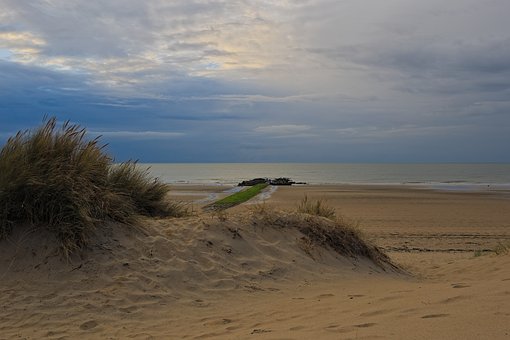 Free North Sea Nature photo and picture