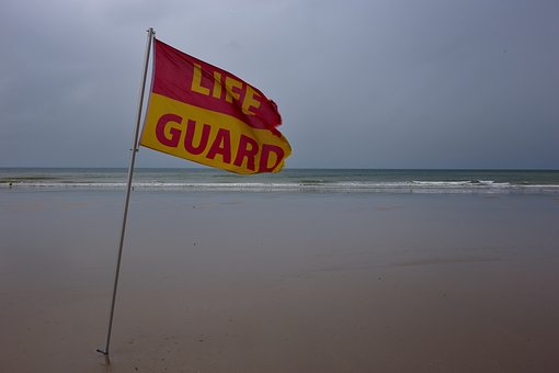 Free North Sea Nature photo and picture