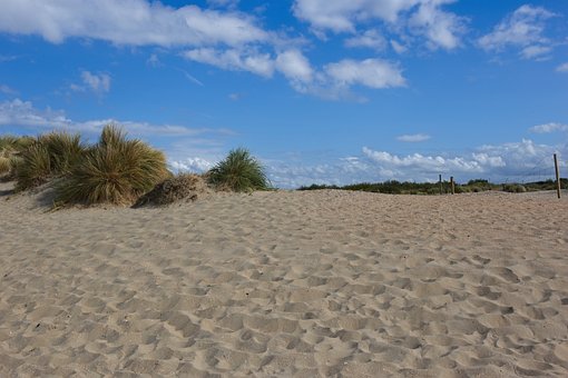 Free North Sea Nature photo and picture