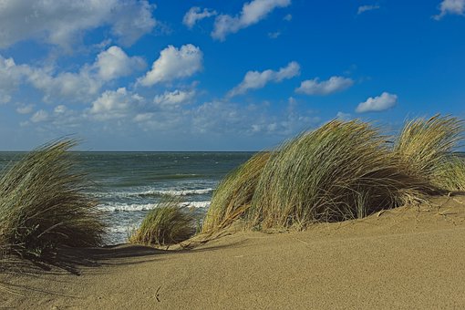 Free North Sea Nature photo and picture