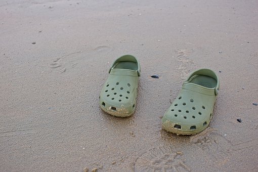 Free North Sea Nature photo and picture