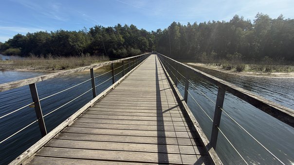 Free Bridge Architecture photo and picture