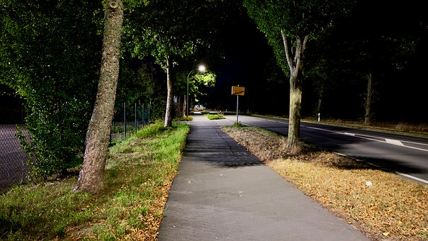 Free Night Nature photo and picture