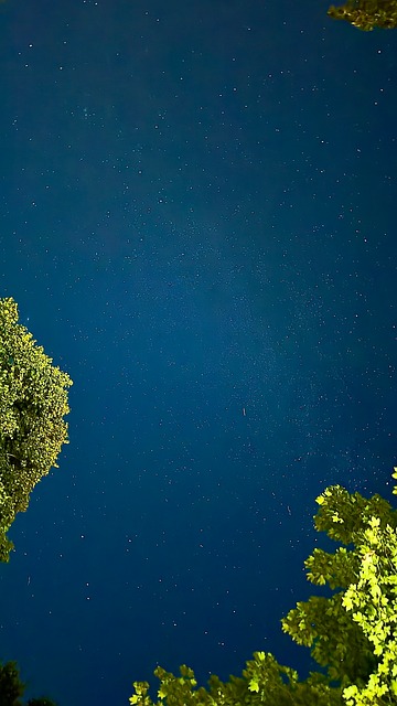 Free Night Stars photo and picture