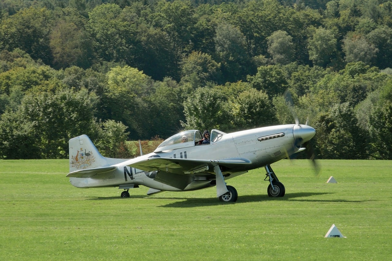 P-51 Mustang - free online jigsaw puzzle photo