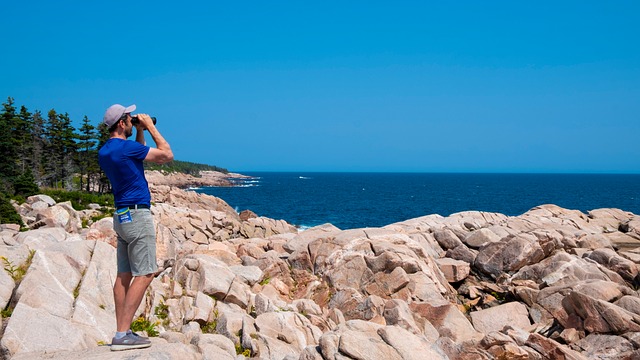 Landskab, Sommer, Canada, Nova Scotia