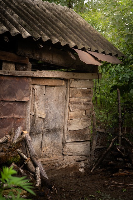 Free Wood Texture Rustic Fence photo and picture