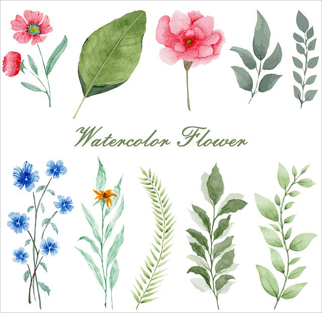 Garten, Natur, Grün, Blumen, Dekoration