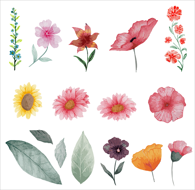 Garten, Natur, Blumen, Hochzeit, Blätter
