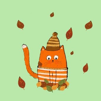 Herbst, Blätter, Natur, Oktober, Ahorn