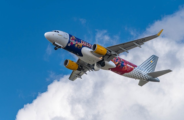 Free Vueling The Plane photo and picture