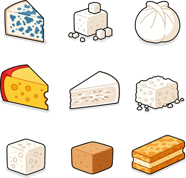 Free cheese cheddar blue cheese vector