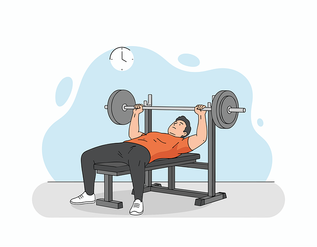 Free fitness weightlifting bench press vector