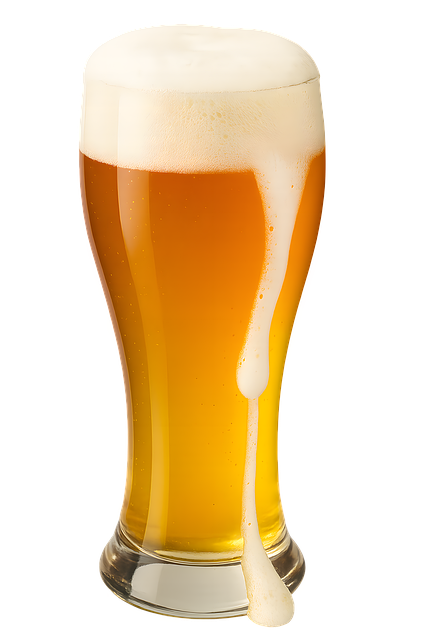 Free Beer Glass Glass Design illustration and picture