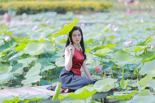 Kvinde, Blomst Baggrund, Model, Natur