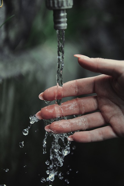 Naturaleza, Agua, Bebida, Bocetos