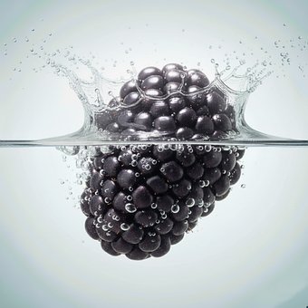 Free Blackberry Fruit illustration and picture