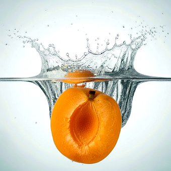 Free Apricot Peach illustration and picture