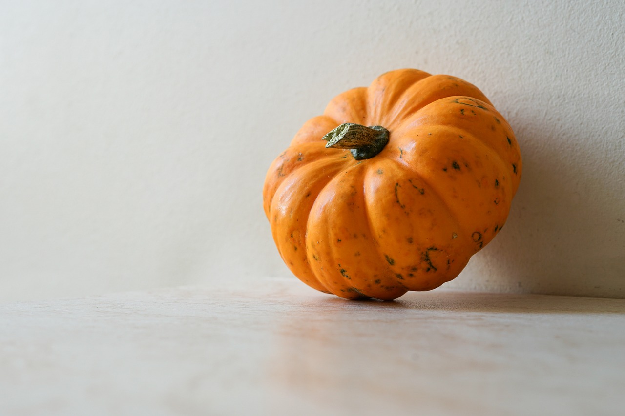 Download free HD stock image of Autumn Pumpkin Free Autumn Pumpkin photo and picture
