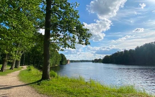 Flod, Daugava, Letland, Sti, Bane, Træer
