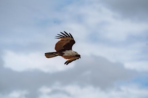 Free Village Nature photo and picture