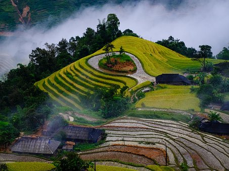 Gradas, Montaña, Arroz, Suelo, Nube, Día