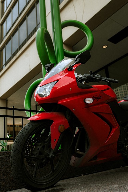 Kawasaki Ninja, Motocicleta Rosie
