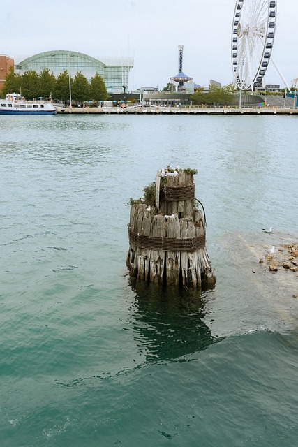 Malul Apei, Dig, Port, Pescărușii