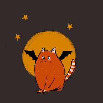 Katze, Tier, Kätzchen, Niedlich