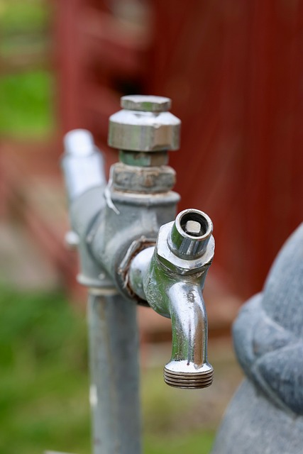 Free Water Tap Allotment photo and picture