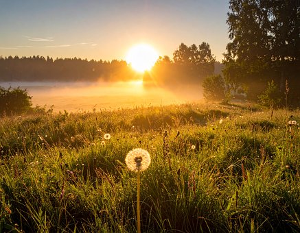Free East Nature illustration and picture