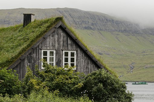 Free Building Grass photo and picture