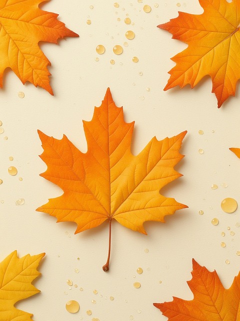 Free fall nature leaves illustration