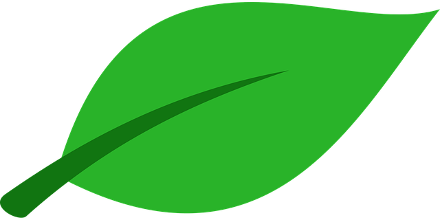 Free green leaf plant vector